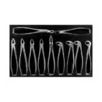 ست فورسپس اناتومیک ۱۱ عددی دنتال دیوایسDental Devices