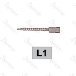 پین داخل کانال تیتانیوم L1 تیزکاوان TEESKAVAN - Image 2