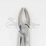 فورسپس پرمولر بالا Upper Premolars Forceps Fig7 دنتال دیوایس Dental Devices - Image 2