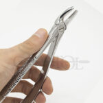 فورسپس پرمولر بالا Upper Premolars Forceps Fig7 دنتال دیوایس Dental Devices - Image 3