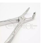 فورسپس عقل پایین Lower Third Molars Forceps Fig79 دنتال دیوایس Dental Devices - Image 2