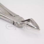 فورسپس ریشه کش بالا  دنتال دیوایس Dental Devices - Image 2