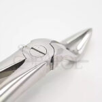 فورسپس ریشه کش بالا  دنتال دیوایس Dental Devices - Image 4
