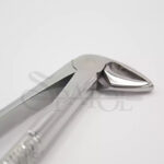 فورسپس ریشه کش فک پایین دنتال دیوایس Dental Devices - Image 2