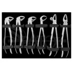 ست فورسپس بزرگسال Forceps Set