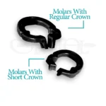 رینگ سکشنال کربن carbon sectional ring برند Zt Dental