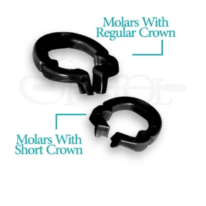 رینگ سکشنال کربن carbon sectional ring برند Zt Dental