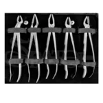 ست فورسپس بزرگسال Forceps Set