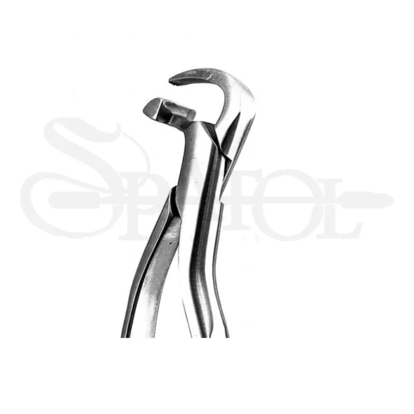 ست فیزیک فورسپس (اتراماتیک) دنتال دیوایسDental device
