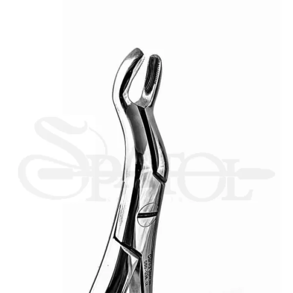فورسپس اناتومیک عقل بالا دنتال دیوایس Dental Devices