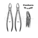 کاهورن بالا کاریزما ( چپ و راست )