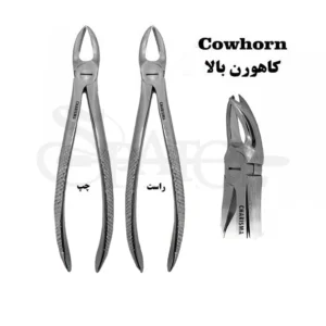 کاهورن بالا کاریزما ( چپ و راست )