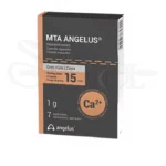 mta angelus
