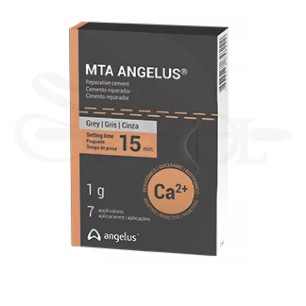 mta angelus