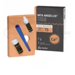 mta angelus