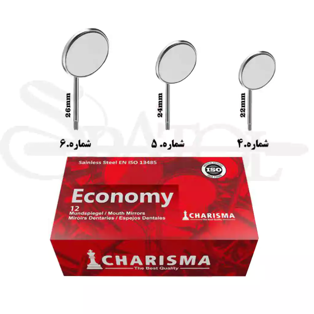 سرآینه شماره 4 کاریزما سرآینه شماره 4 کاریزما