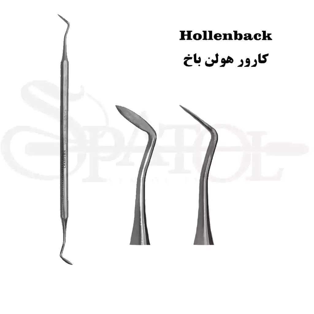 کارور هولن باخ کاریزما Charisma کارور هولن باخ کاریزما Charisma